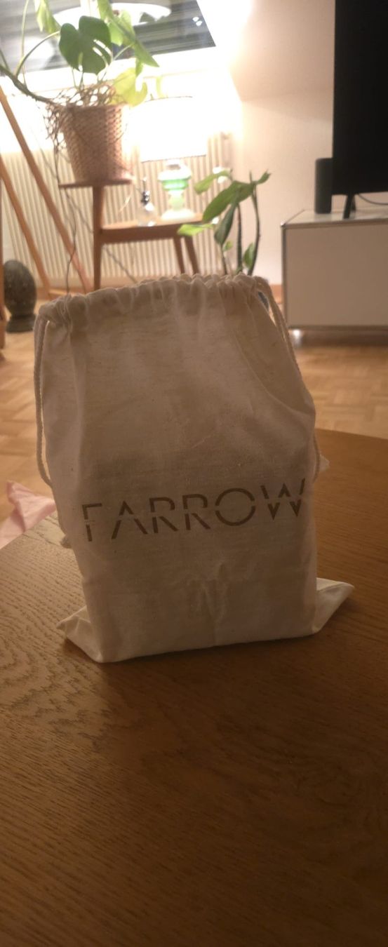 Borse da donna: Farrow Rattan Tasche – Usato da Zollikofen venduto da muehlemann2010 3