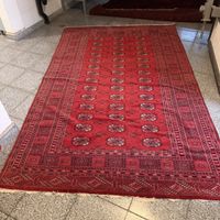 Orientteppich Bochara Pakistan 257x155 cm handgeknüpft