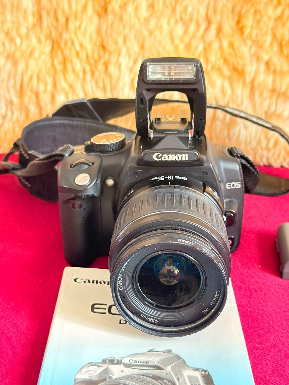 Canon Kamera: Canon EOS 350D mit zwei Akkus – Gebraucht aus Lachen SZ von Leo-Lisa