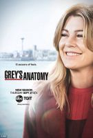 Grey's Anatomy, 15. Staffel, DVD