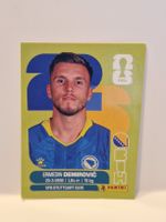 Panini WM 2026 Sticker Ermedin Demirovic BIH 17
