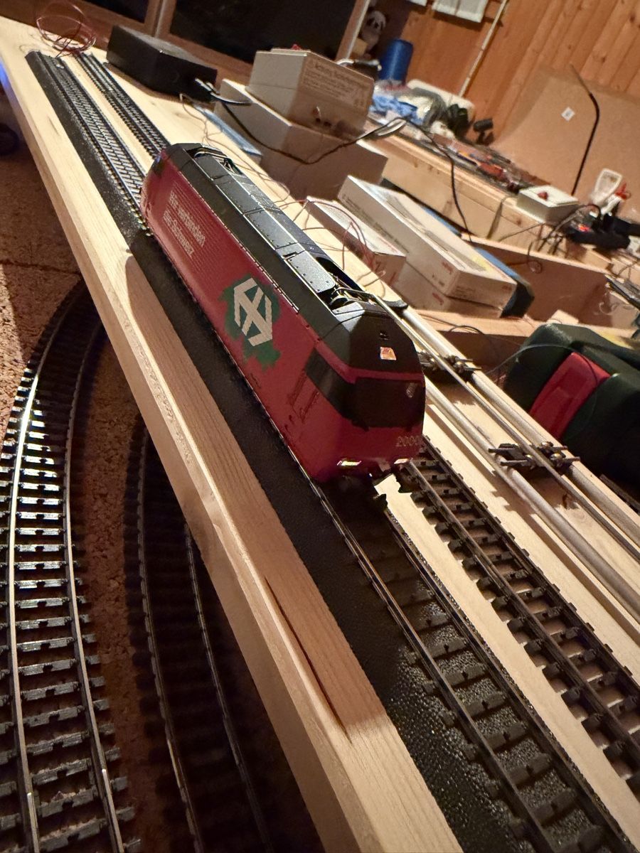 Hag Modellini di ferrovie: HAG Re 460 HO Lok WS digital – Usato da Regensdorf venduto da Basc 7
