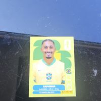 panini