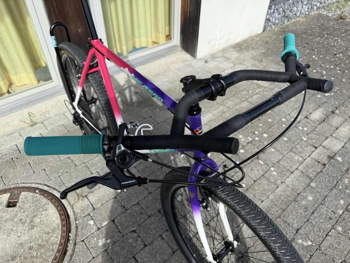Panasonic Biciclette: Panasonic Vintage MTB rebuild – Usato da Bergdietikon venduto da speedboatrider 2
