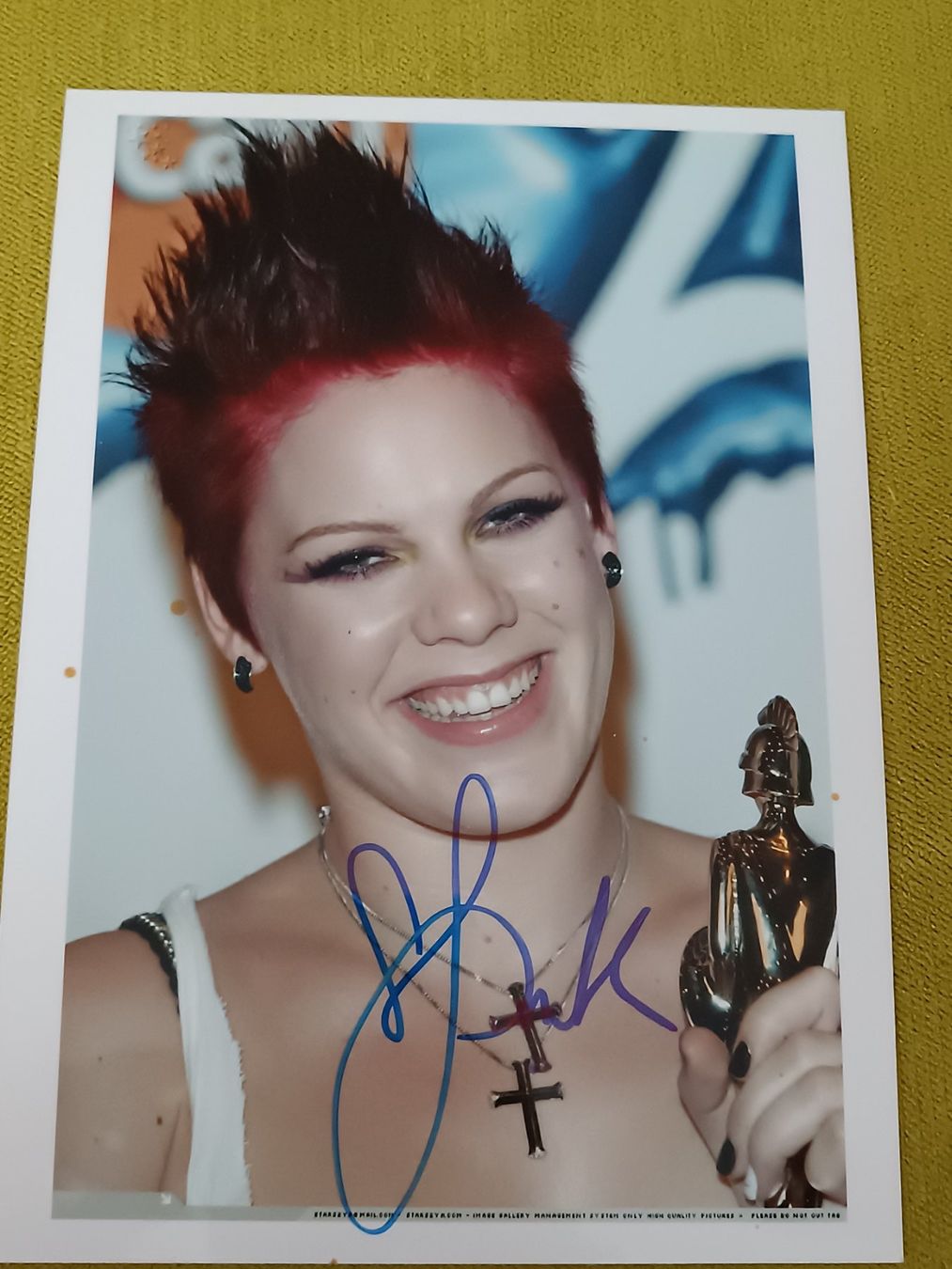 Autographes: Pink - handsigniert – D'occasion à Menziken par Artographs