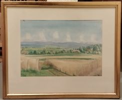 Kornfeld-Bild von T.S....