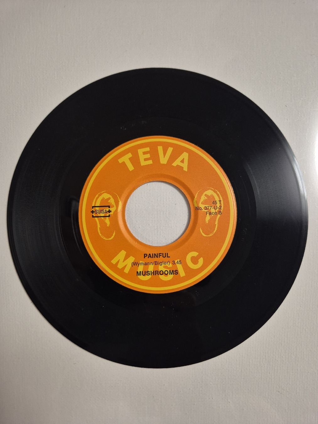 Dischi in vinile: Mushroom  - Painted Lady / Painful - Single 7 , CH – Nuovo (secondo la descrizione) da Uster venduto da newwave0 3