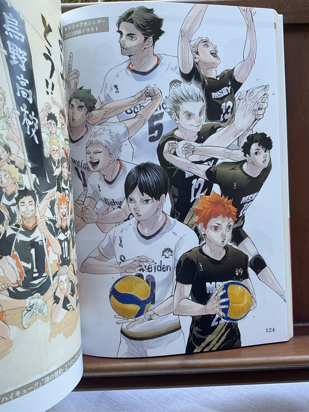 Fumetti: Haikyuu!! 10th Chronicle Jubiläums Japanisch mit Buchbinde – Usato da Rütihof venduto da AkibaVault 3