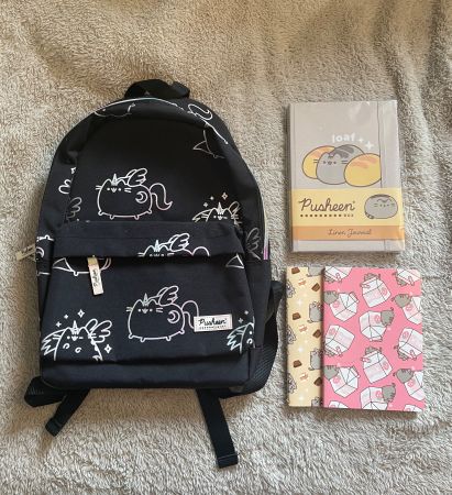 Pusheen backpack and notebook bundle