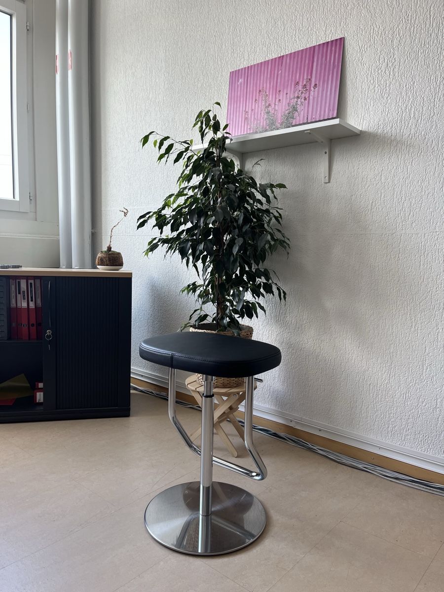 Hocker: Thonet Barhocker (S 123 PH) – Gebraucht aus Bern von massioso