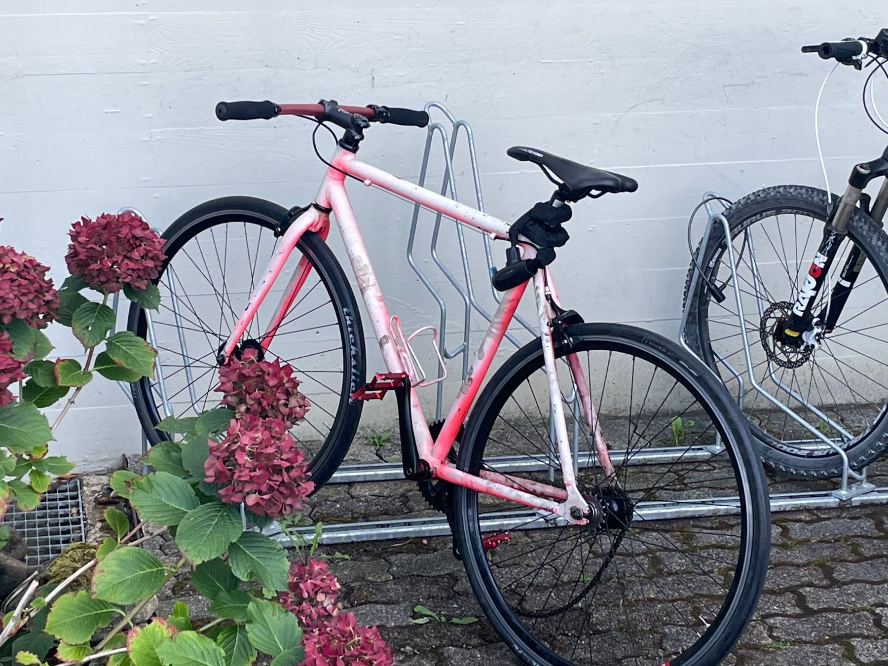 Velos: Velo – Gebraucht aus Baden von fis_28yb