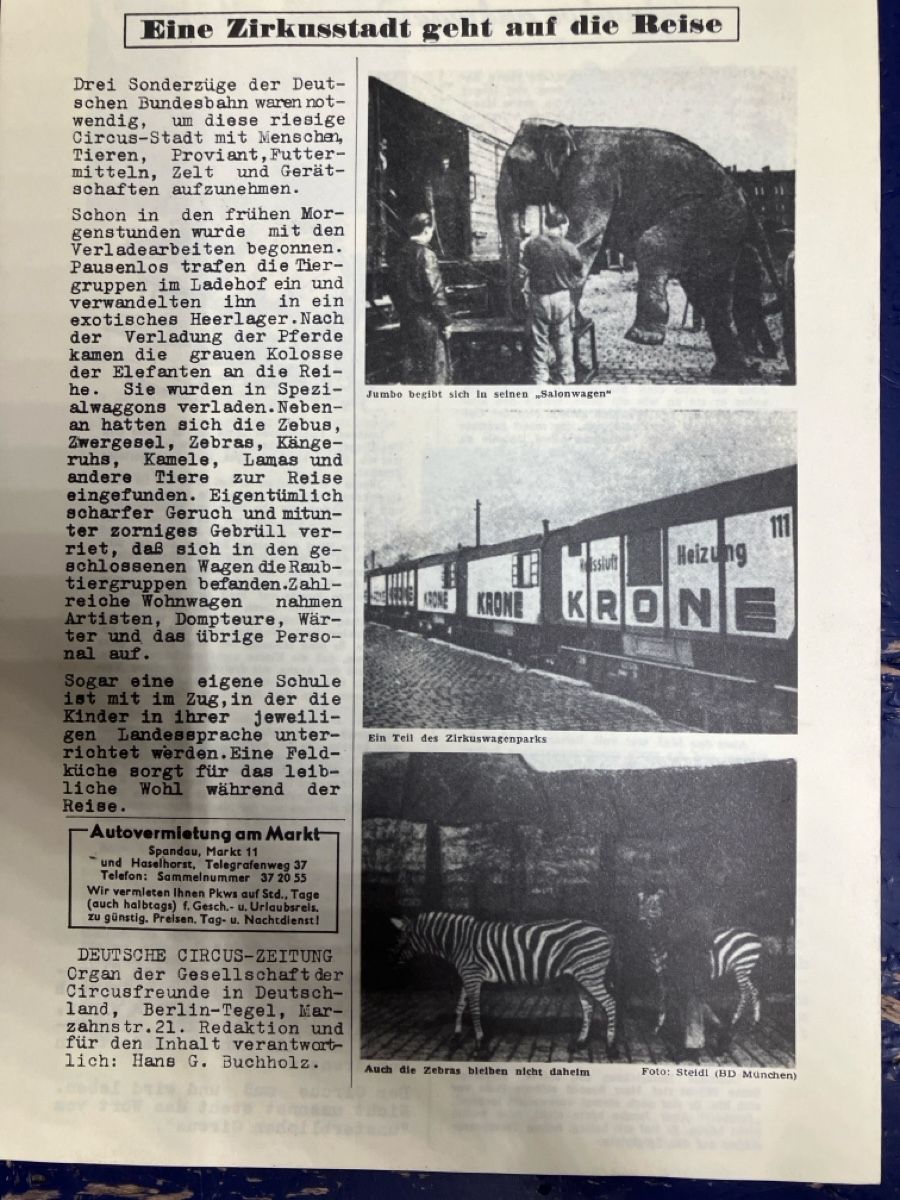Riviste & Magazine: Circus Zeitung 1955 – Usato da Erlenbach im Simmental! venduto da Simmentaler-Perlen 2