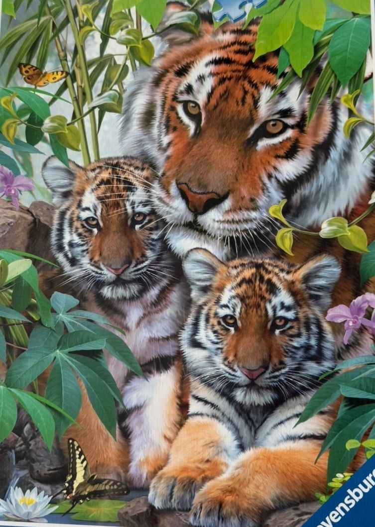 Ravensburger Puzzle: 1000 Ravensburger Puzzle TIGER – Usato da Oberbipp venduto da annegret05 3