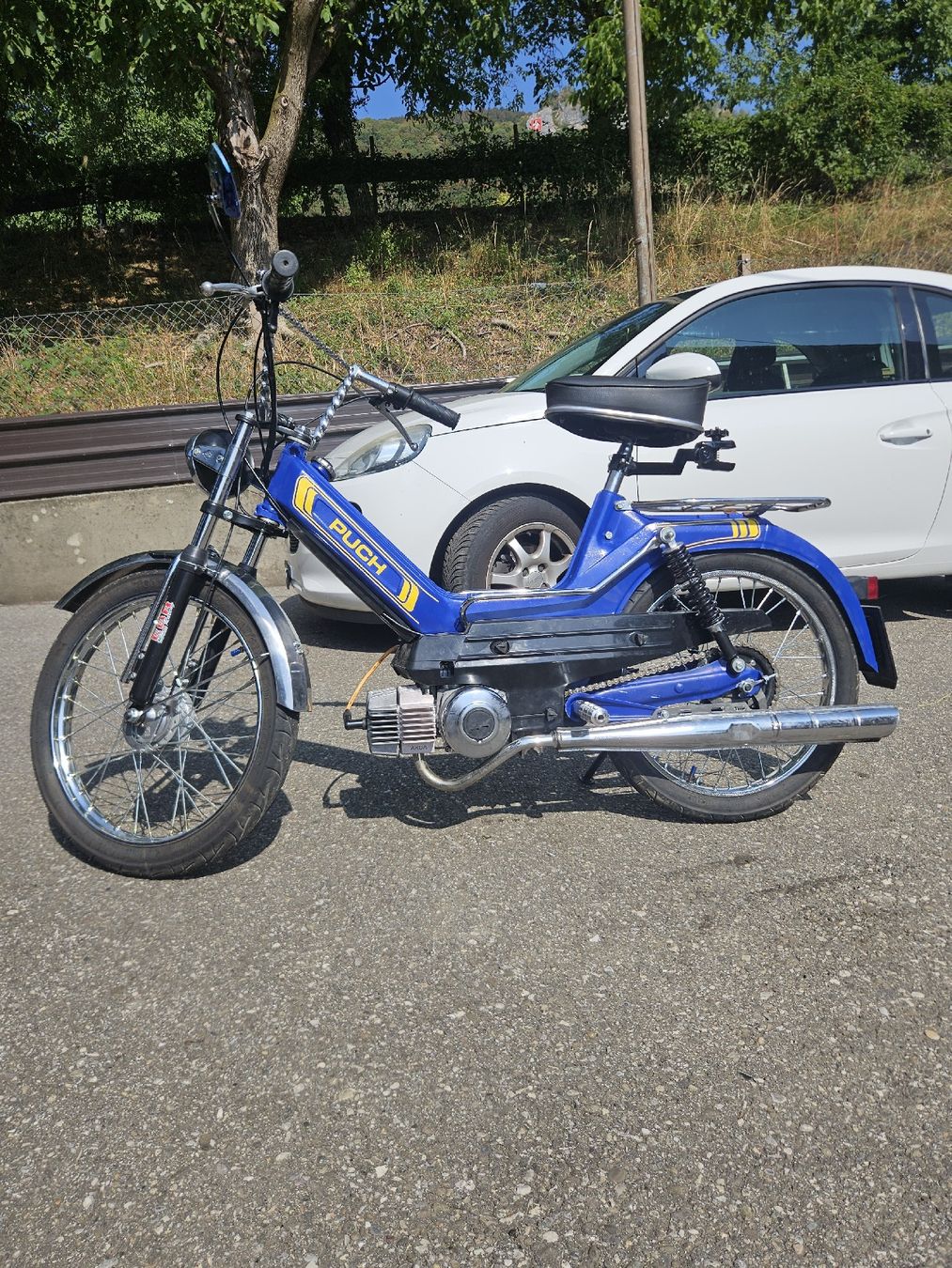 Puch Mofas: Puch Maxi S – Gebraucht aus Mümliswil von KAWASAKIKX01