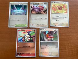 Pokemon Reverse Karten Set (Versand gratis)