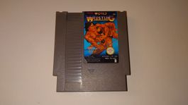 Tecmo World Wrestling