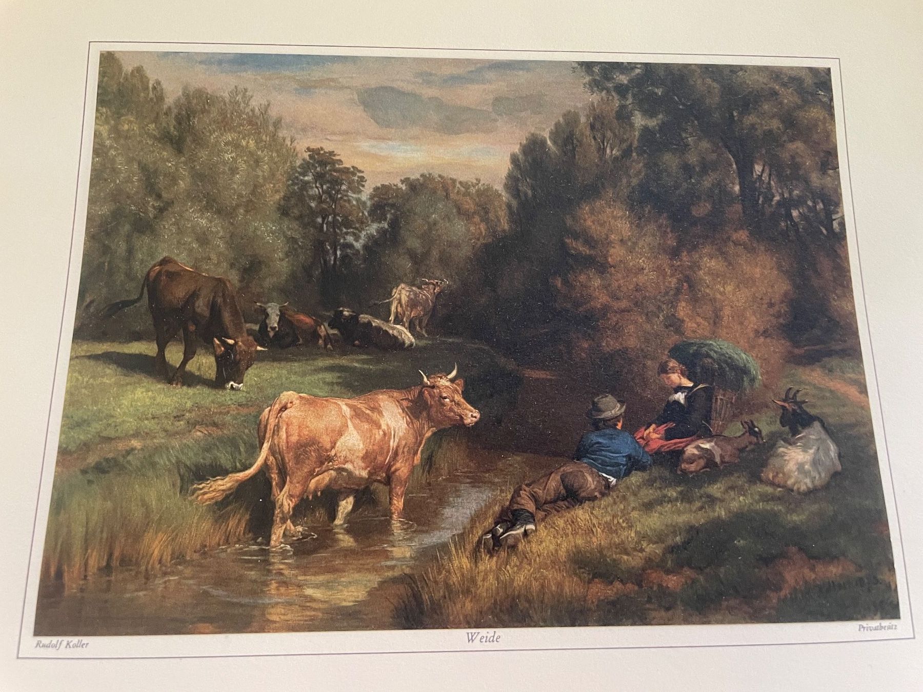 Foto & Immagini: Bild Rudolf Koller "Weide" – Usato da Volketswil venduto da rubin74 1