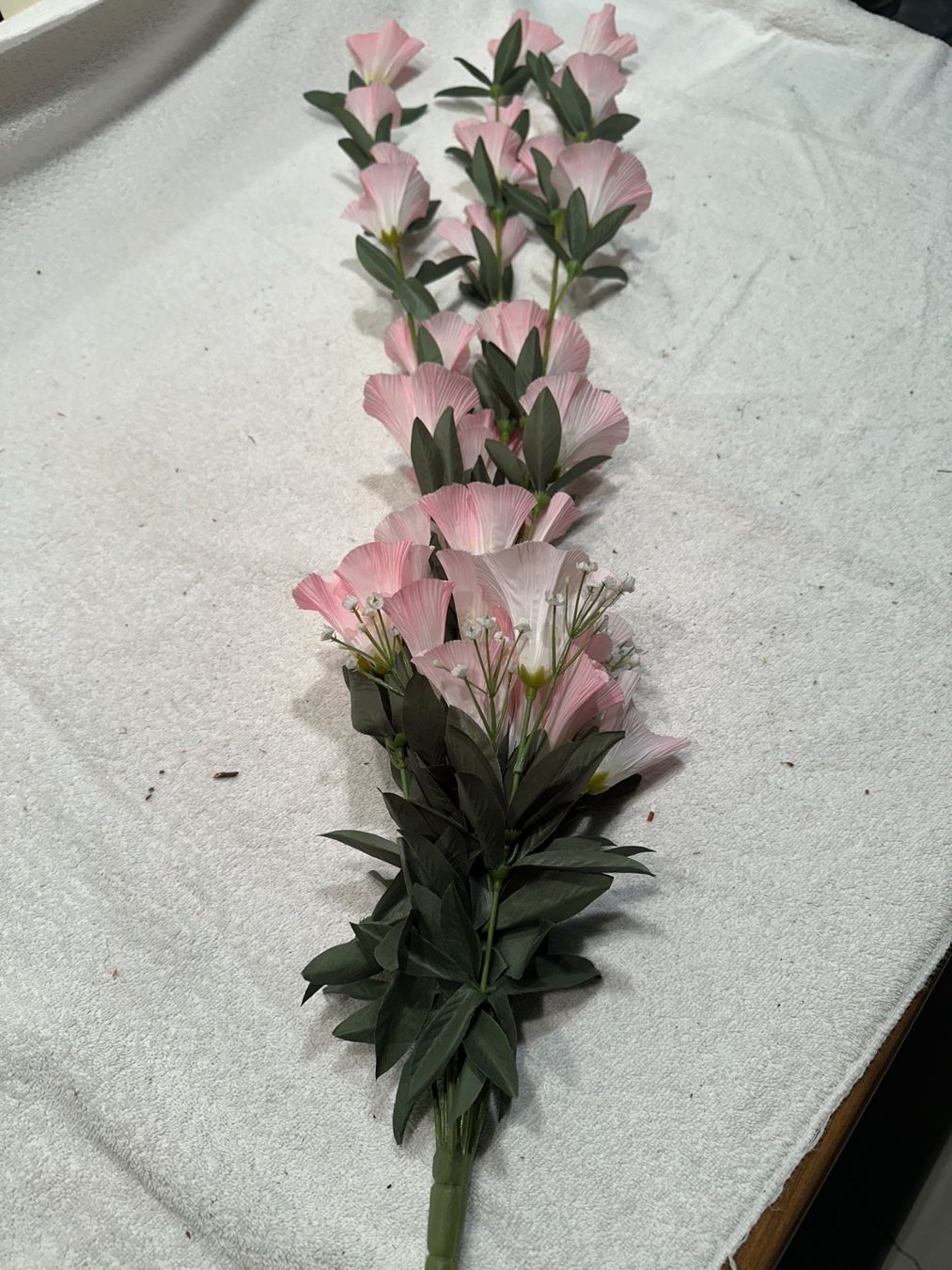 Piante & sementi: Blumen rosa – Usato da Laupen ZH venduto da Mcafi02 2