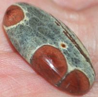 Cabochon L-1192 – Erdnuss Obsidian – 24x13mm