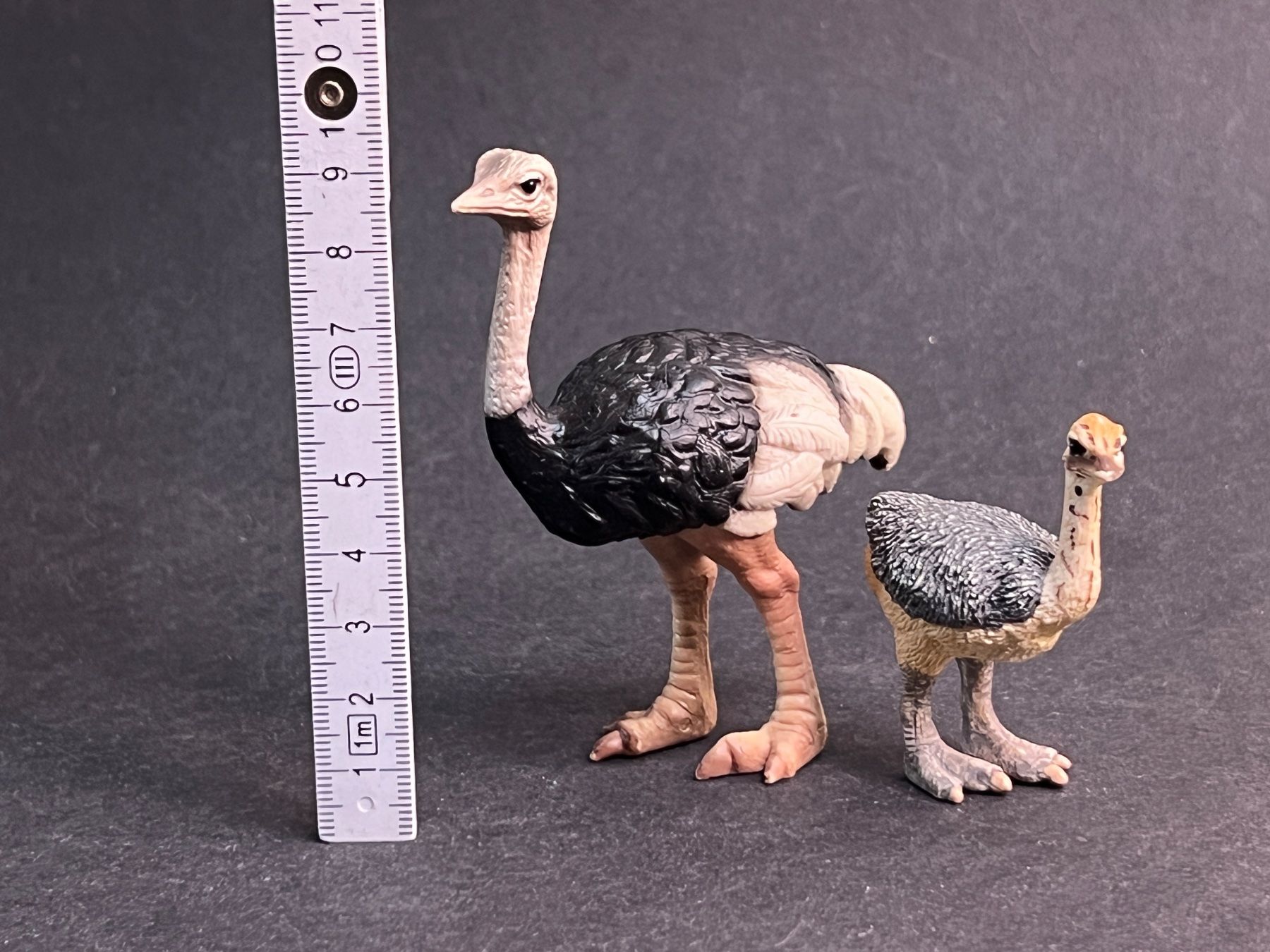 Schleich Figuren: Schleich Strauß und Straussenjunges Strauss – Gebraucht aus Ennetbaden von mapa05 1