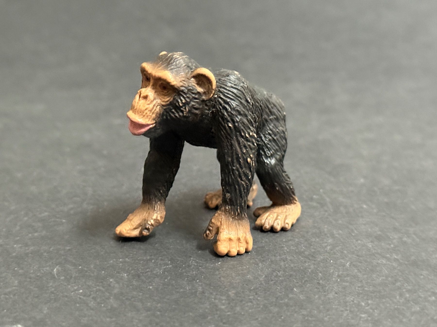 Schleich Statuette: Schleich 14189 Schimpansen Männchen Affe Schimpanse – Usato da Ennetbaden venduto da mapa05 2