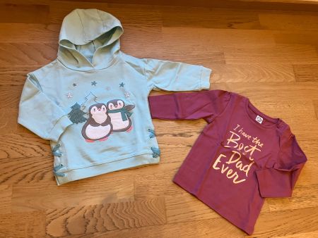 Pullover/Langarmshirt Gr.80 NEU