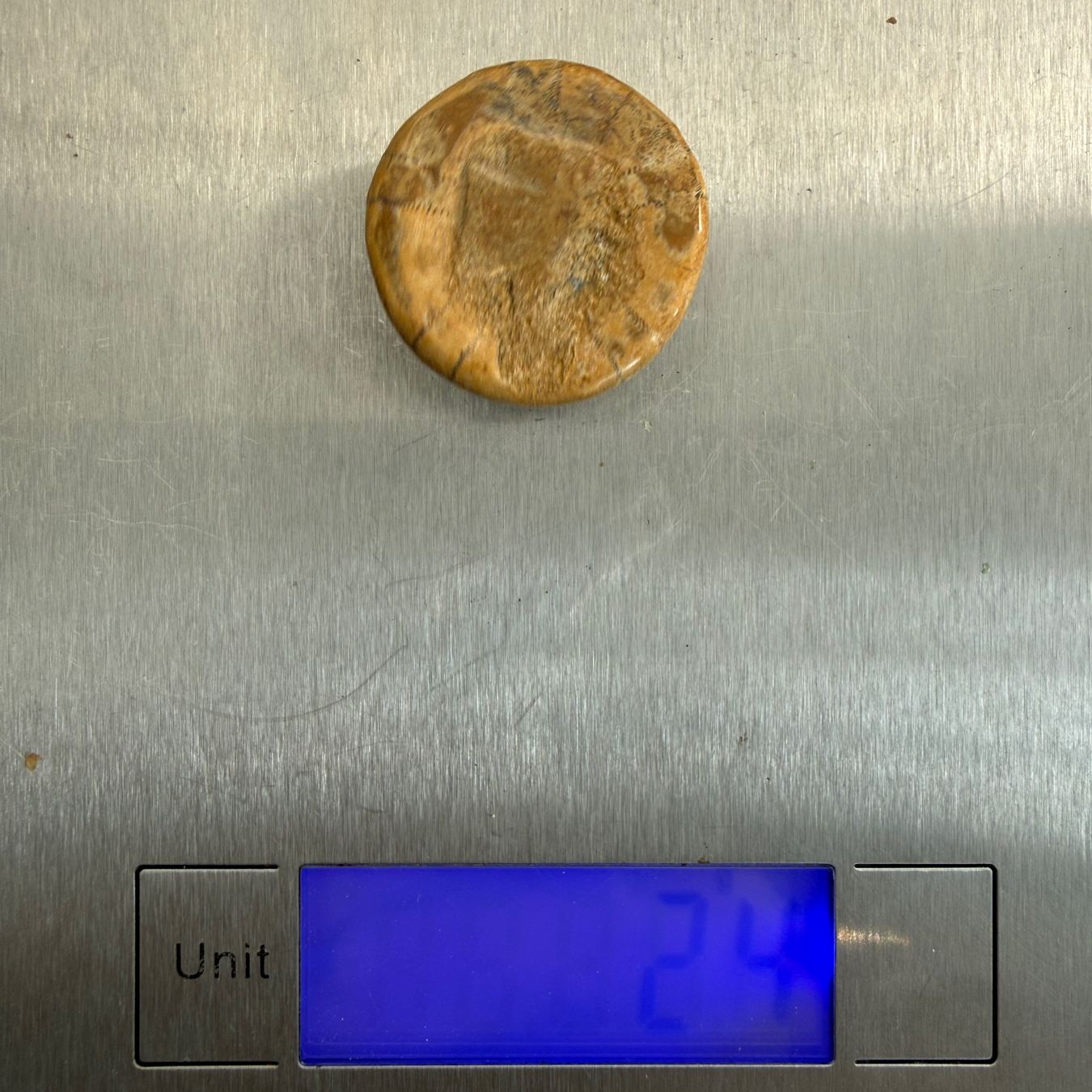 Fossiles: Fossil sea urchin (echinoid) – D'occasion à Vésenaz par RMShop 2