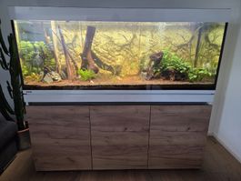 Eheim Aquarium Incpiria 530 LED