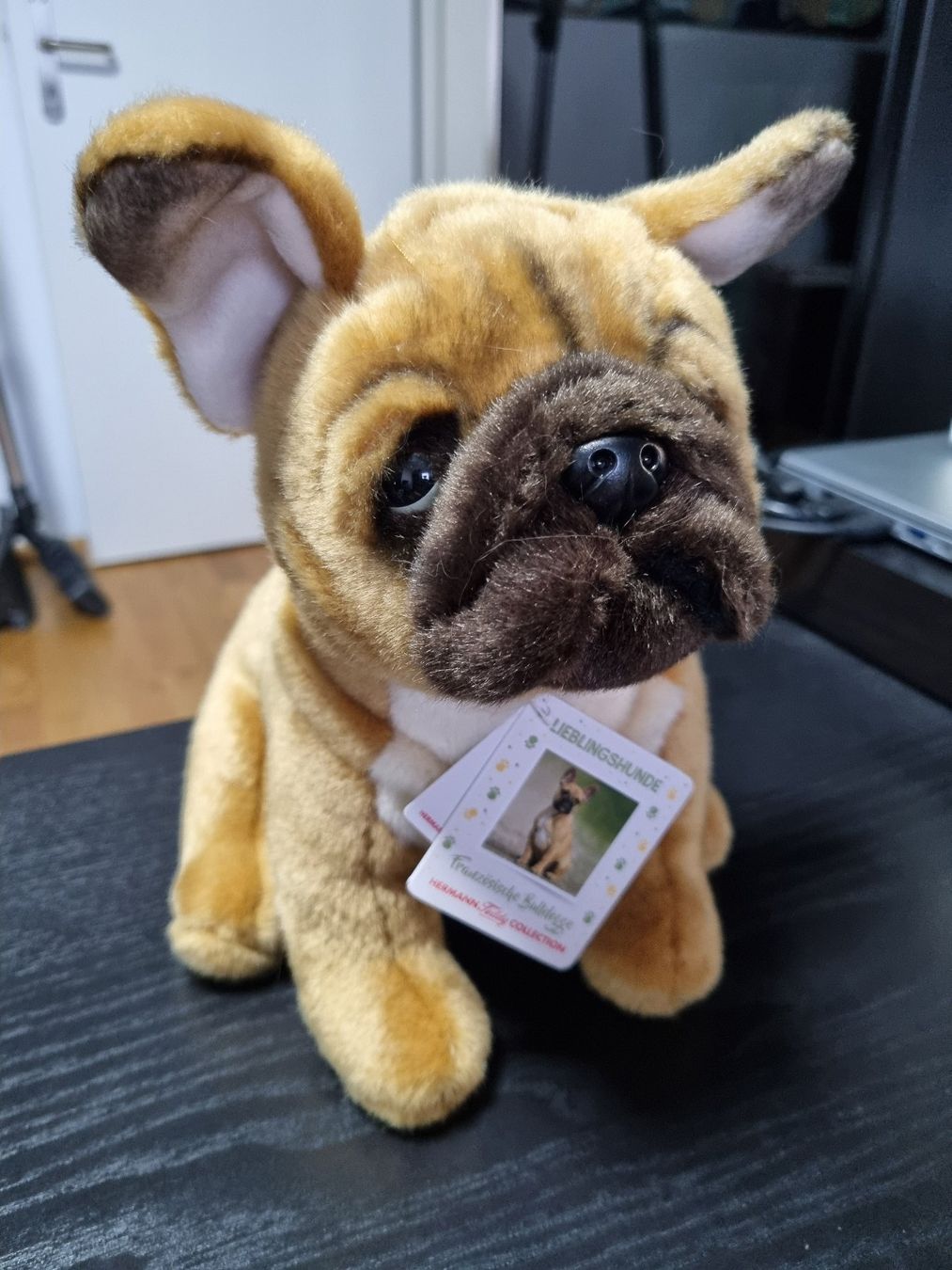 Giocattoli: Plüschtier Franz.Bulldogge – Nuovo (secondo la descrizione) da Waltenschwil venduto da Larache90