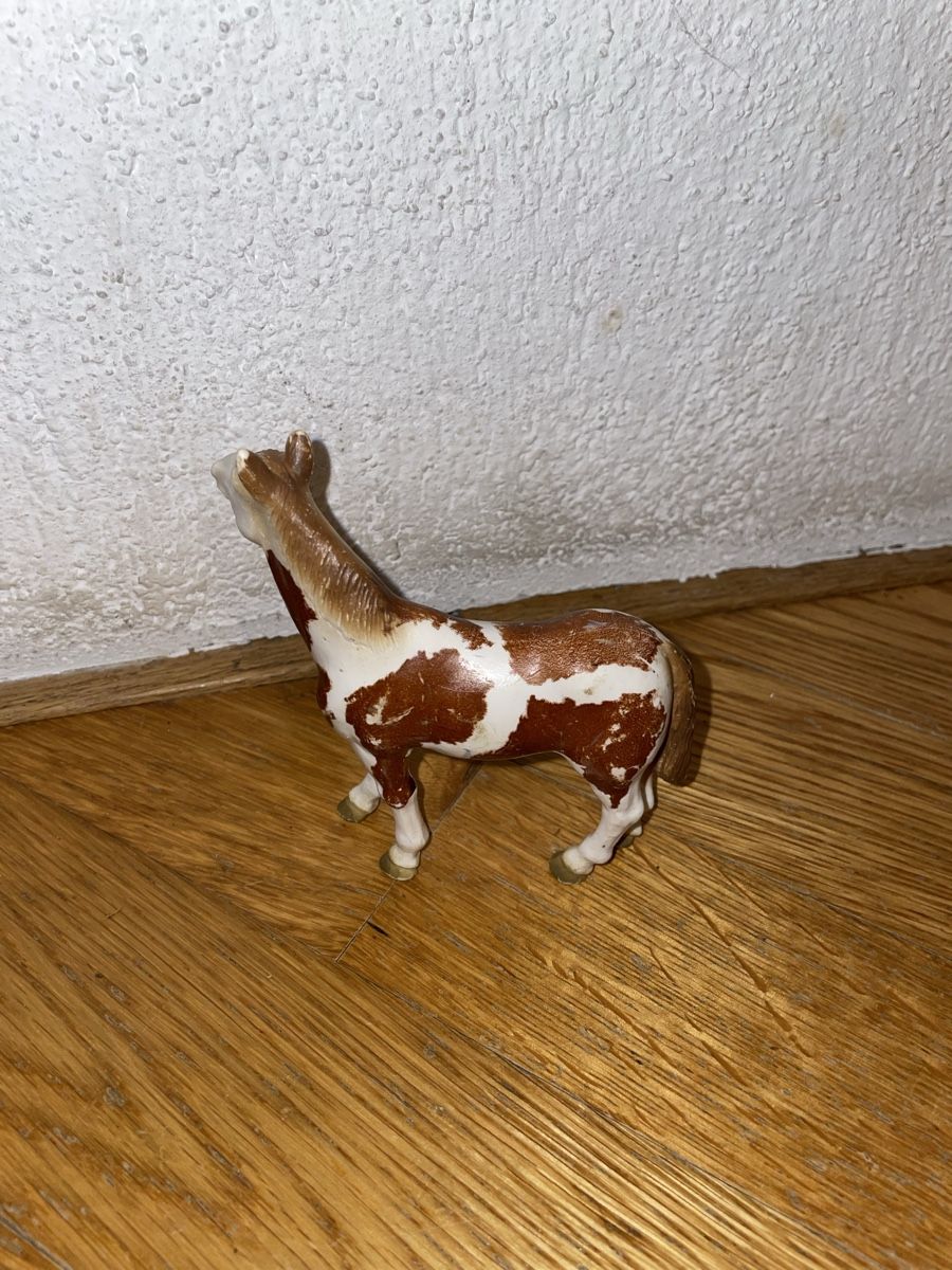 Schleich Statuette: Schleich Pinto Hengst 13241 – Usato da Adetswil venduto da Mschnuffi 1