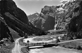 Gasterntal hockenhorn wildelsigen ( Kandersteg )