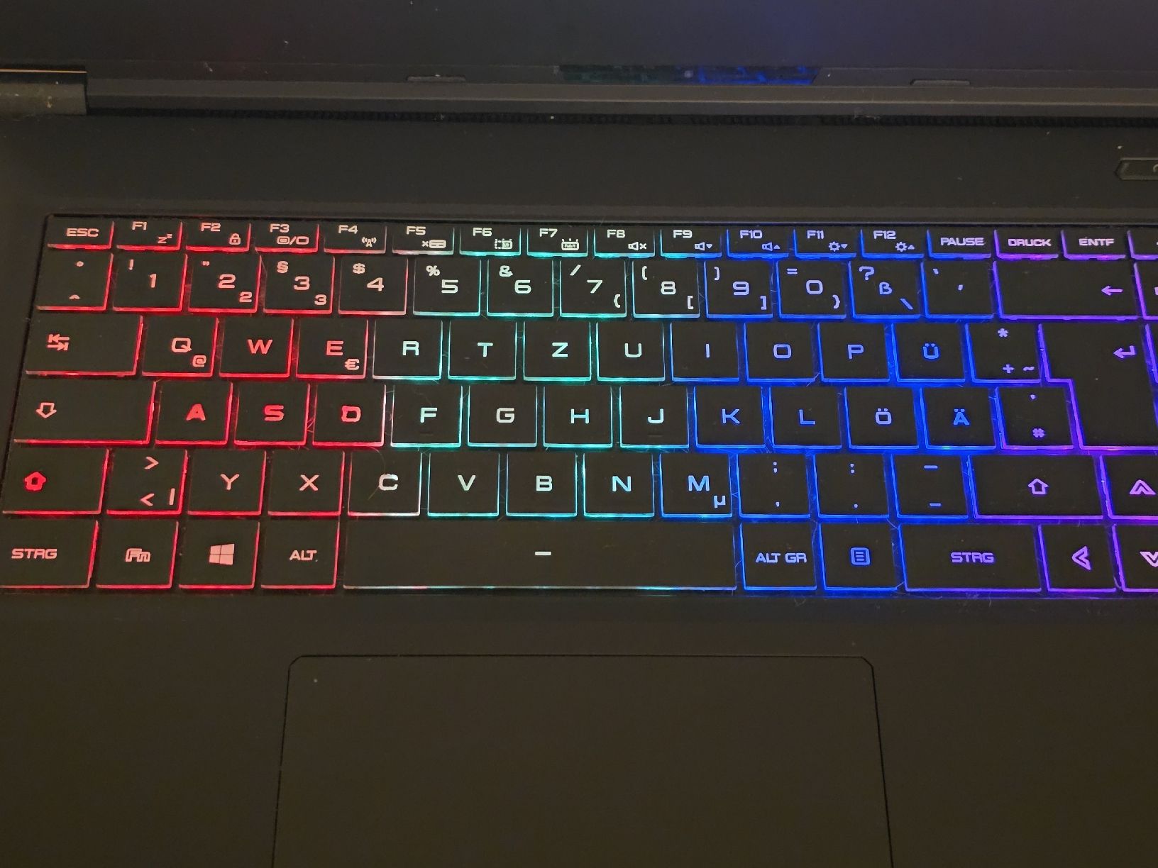 Notebook: Gaming Laptop - RTX 2080 - 32gb RAM – Usato da Tann venduto da Flowerfield 1