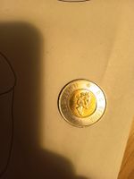 2 dollar 1999 toonie münze Nunavut nr.309
