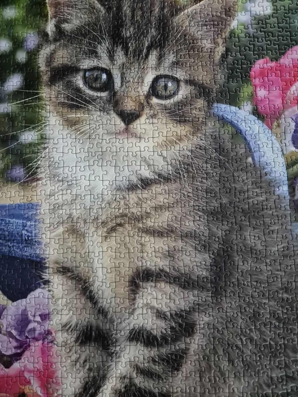 Ravensburger Puzzle: Katzen Puzzle, Ravensburger, 1000 Teile – Usato da Tecknau venduto da servus4492 3