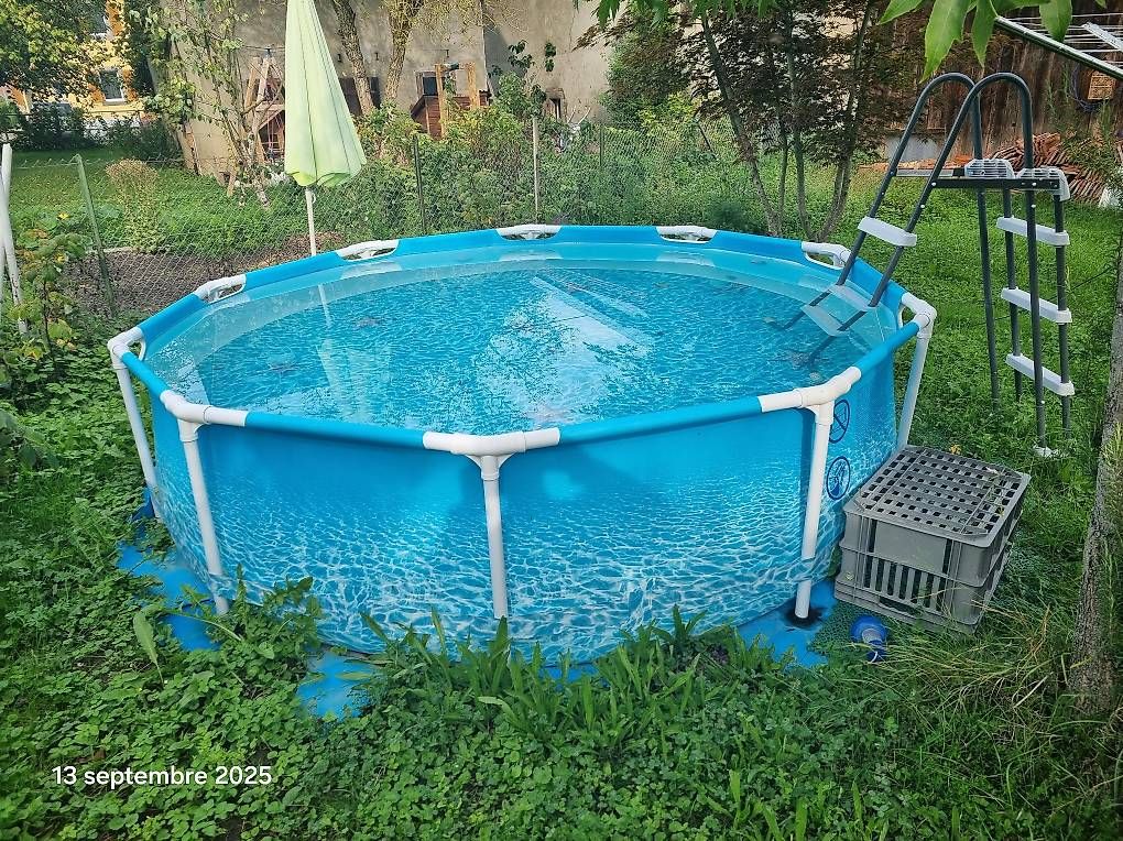 Piscine: Piscine Intex – Usato da Ependes VD venduto da Oliviermi