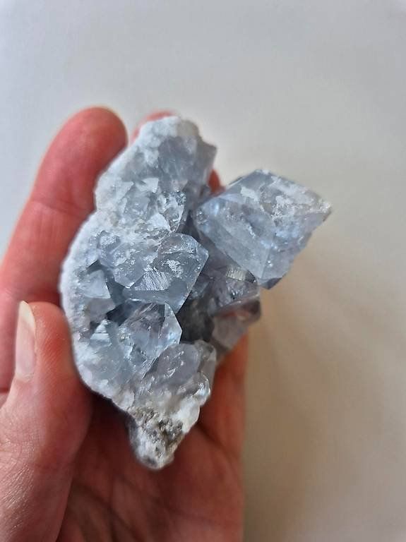 Minerali & Pietre curative: Coelestin - Gruppe 198g – Nuovo (secondo la descrizione) da Rüti ZH venduto da pep_l9zp 1