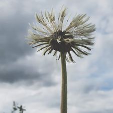 Profile image of Sandramay