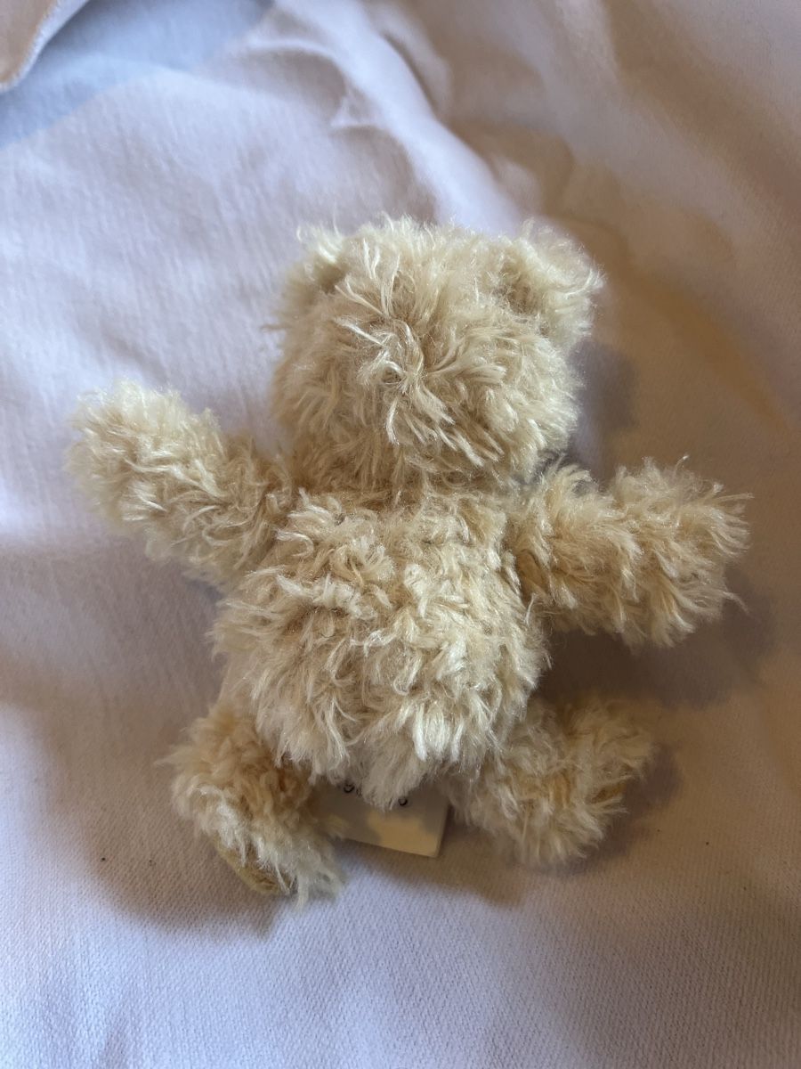 Steiff Giocattoli: Steiff Bär Charly Teddybär – Nuovo e nell'imballaggio originale da Lauenen b. Gstaad venduto da Fel_3L 3
