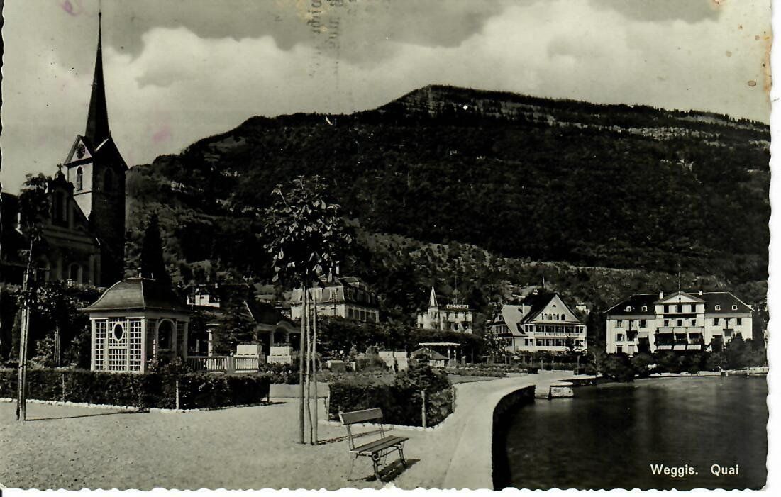 Cartes postales: Weggis – D'occasion à Hochdorf par Ziegel-16