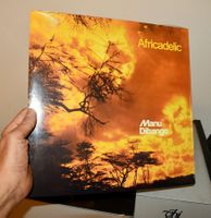 Neu OVP Manu Dibango –Africadelic LP Remastered/Orange-white