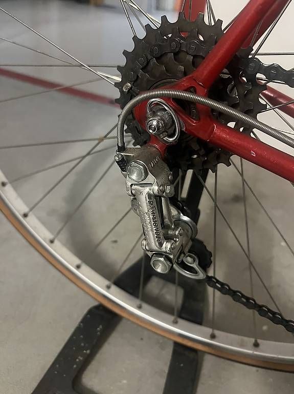 Biciclette: Bicicletta Colnago – Usato da Giubiasco venduto da uom_vw2p 2
