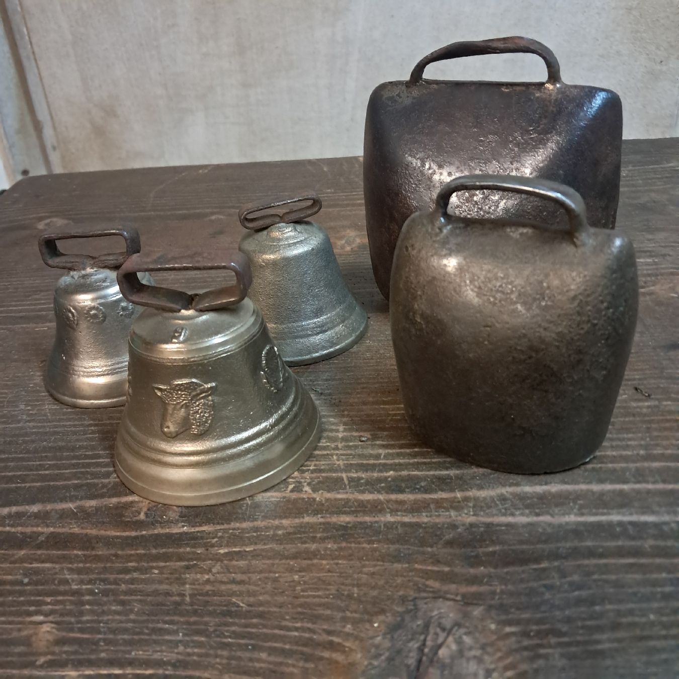 Campanacci mucche: 5 Glocken / Treicheln – Usato da Murten venduto da SHETHOF 1