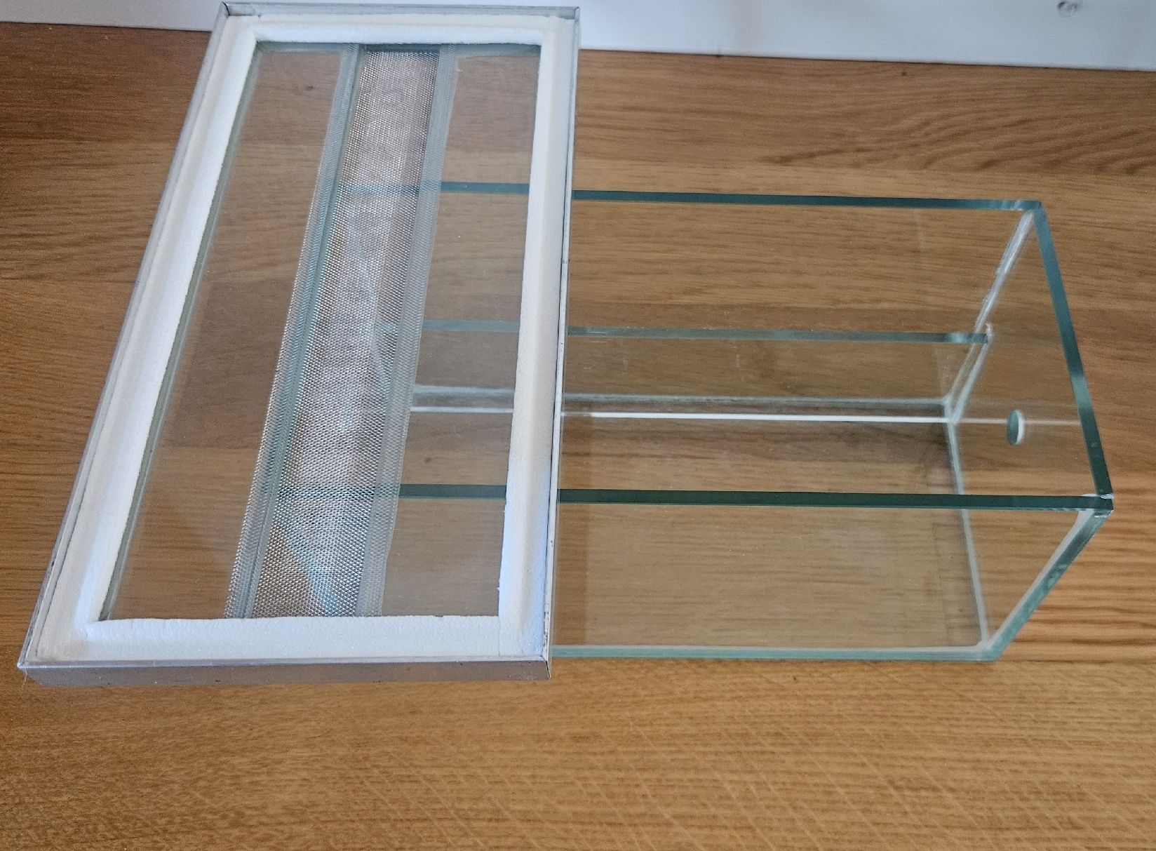 Terrario: Ameisenfarm-Set / Formicarium – Usato da Luzern venduto da ruhmred 2
