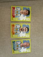 panini sticker argentinien