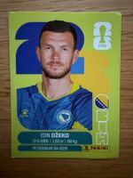 Panini BIH 18