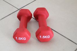 2 x Kurzhanteln, je 1.5 Kilo