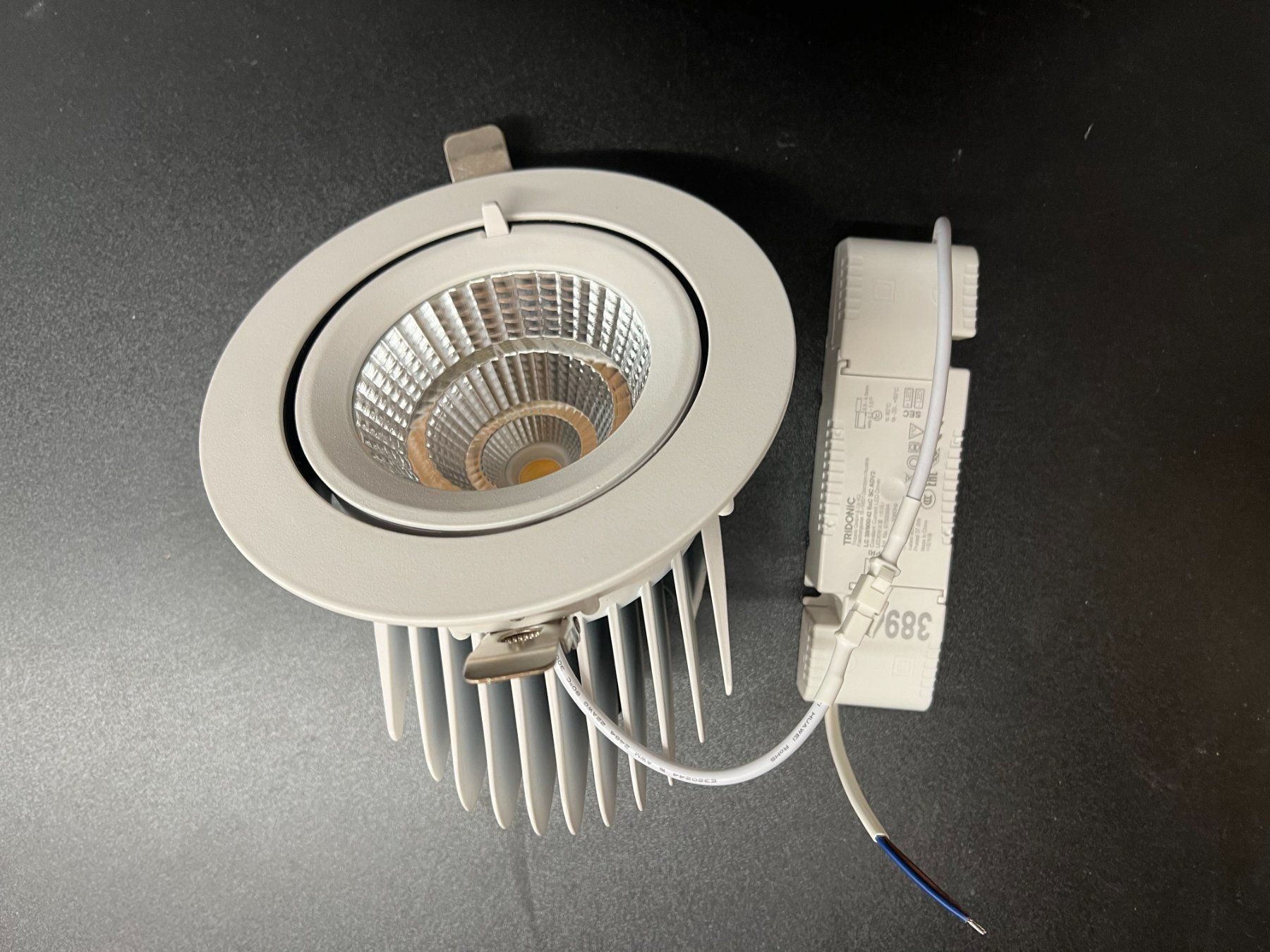Lampade: LED SHOP DOWNLIGHT SPHERE WHITE – Nuovo e nell'imballaggio originale da Mägenwil venduto da BackInWhite 1