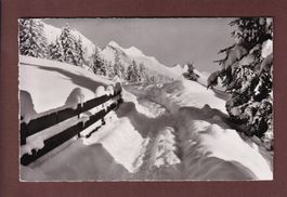 Adelboden - BÜTSCHEGGE - Niesenkette
