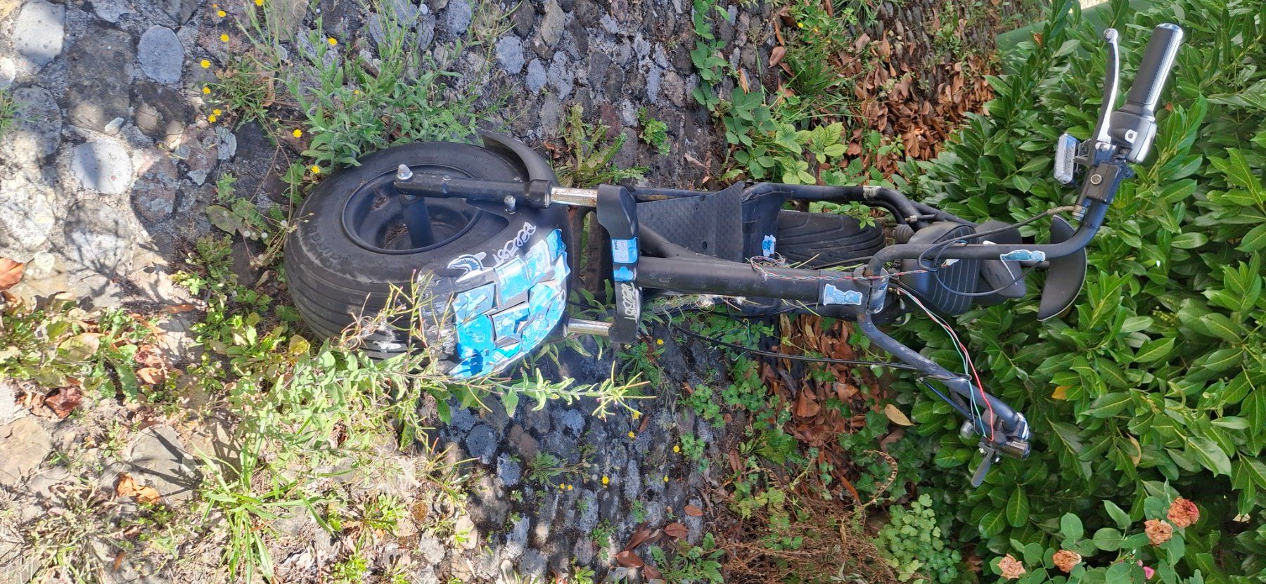 Citycoco Scooters: City Coco E Scooter – Defekt aus Kyburg von JBMNT2020 3