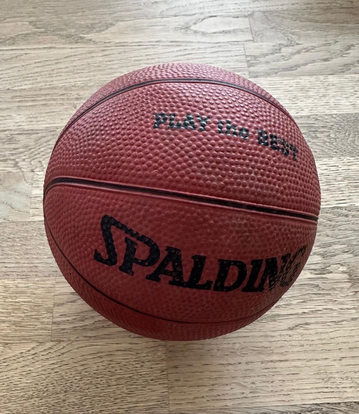 Spalding Ballons: Mini Basketball – Neuf (Voir description) à Rorschach par harry-the-great